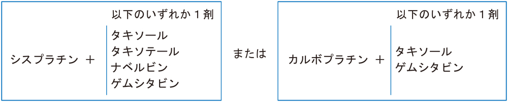 非小細胞がんの化学療法表